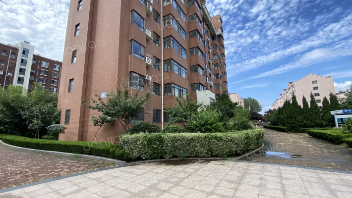 豪第九号外景图