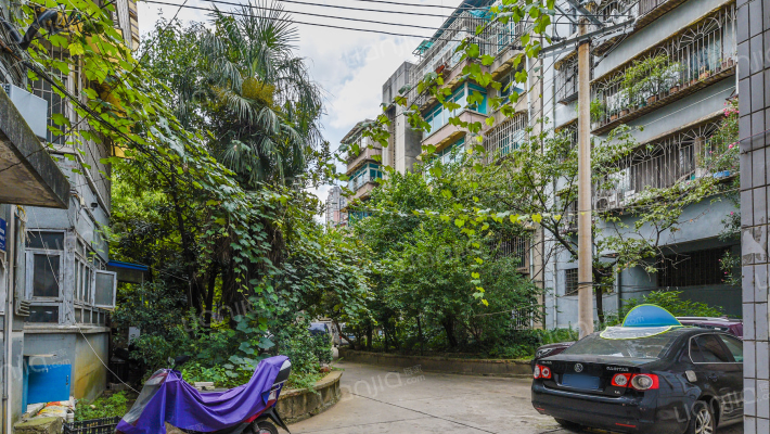 新添大道南段93号院外景图