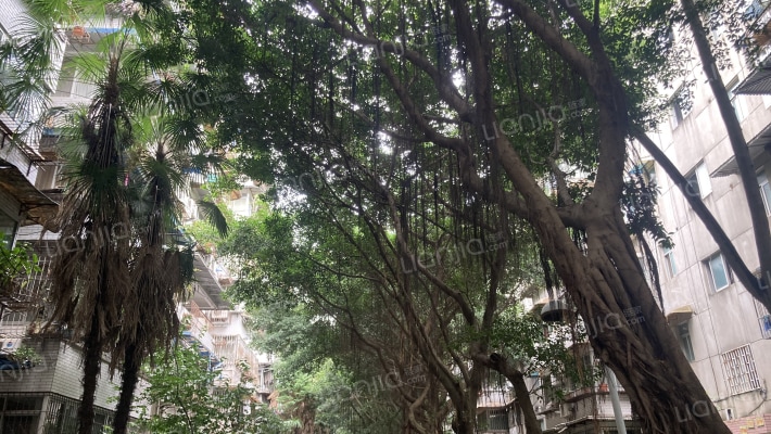 理工南苑外景图