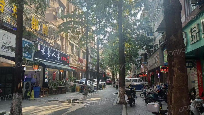 景杉路542-544号外景图