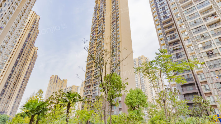 邓甲新城B区外景图