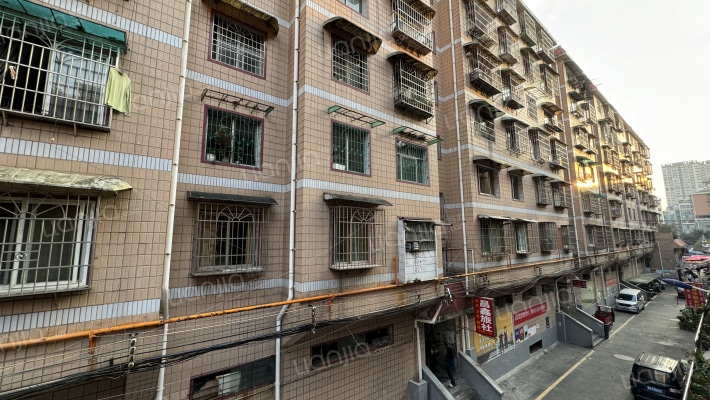 白云南路491号外景图