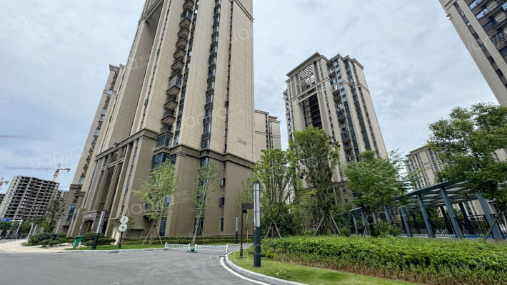 恒大滨江左岸外景图