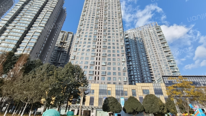 东湖第一城外景图