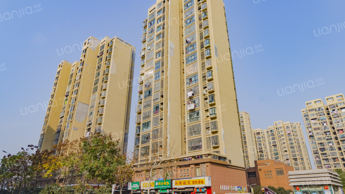 淝河安百苑B区外景图