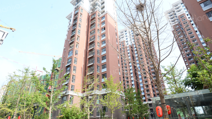 大华上海滩花园外景图