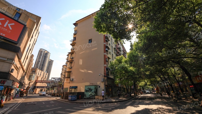 广场东路外景图