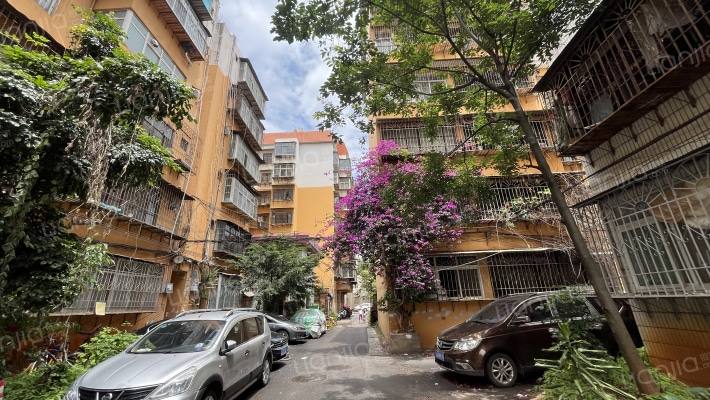 马军场小区外景图