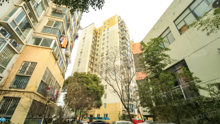 盈家春天外景图