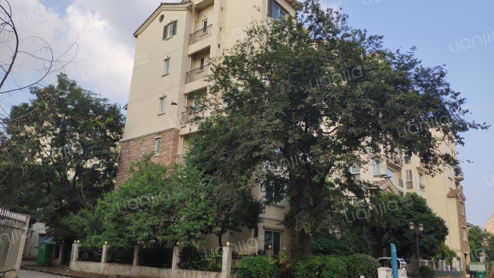 河畔花林外景图