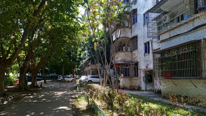 海医杏林苑小区外景图