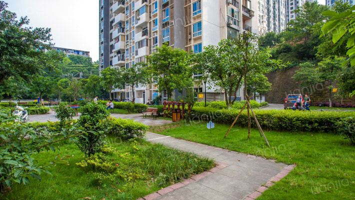 鱼洞燃气小区外景图