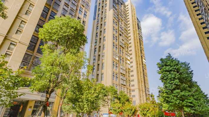 阳逻财富广场外景图