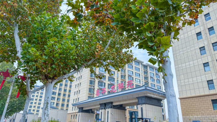 春华·龙祥苑外景图