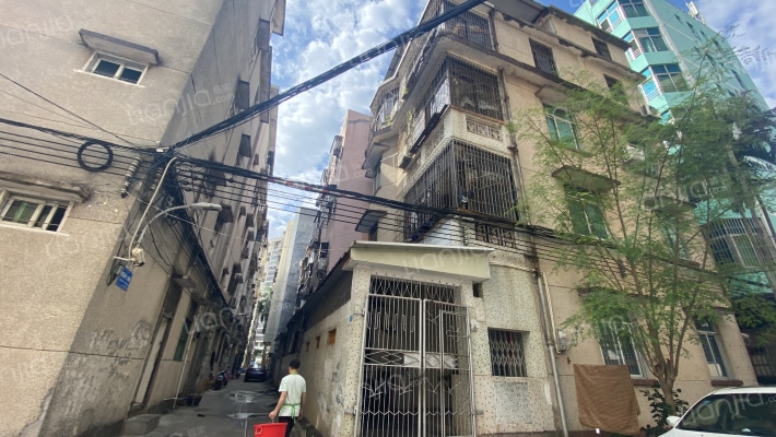 椰园新村外景图