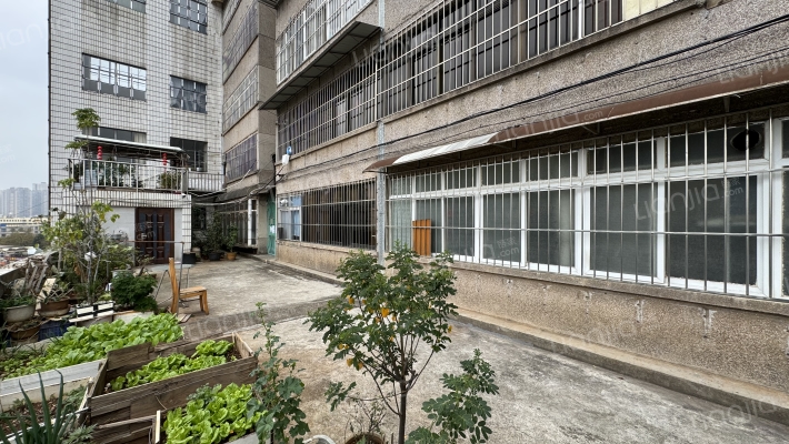 园西路117号（原北门街48号）外景图