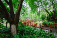 碧园•印象桂林2