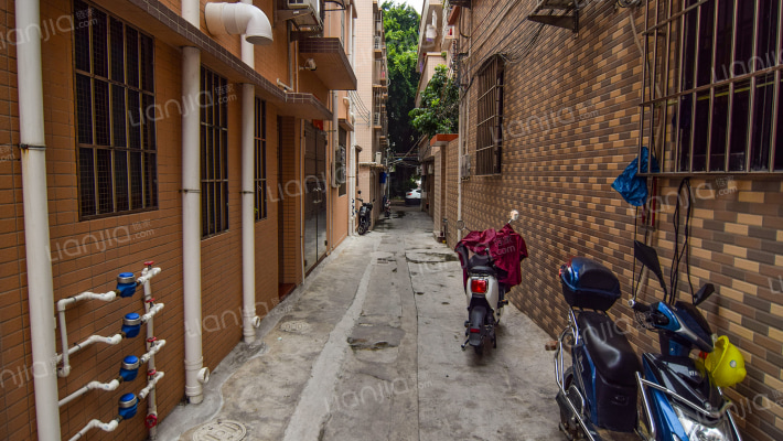 大陂宝金社4号外景图