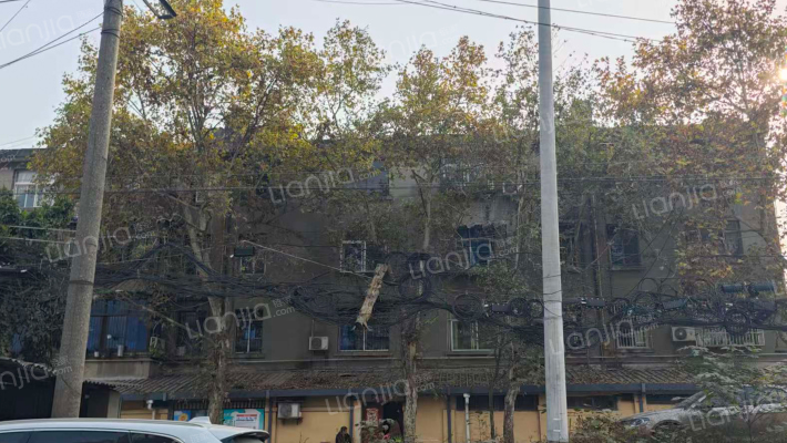 杨家巷6号外景图