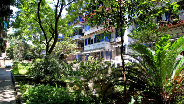 大石西路20号外景图