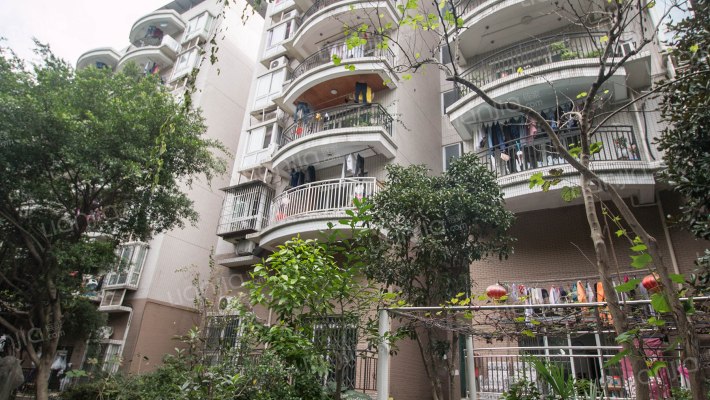 滨江林舍外景图