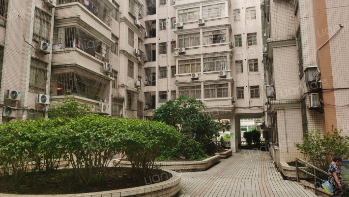 银珠苑小区外景图