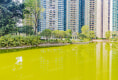 恒大御景湾7