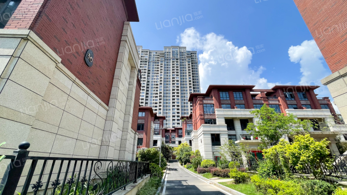 先生的山B区外景图