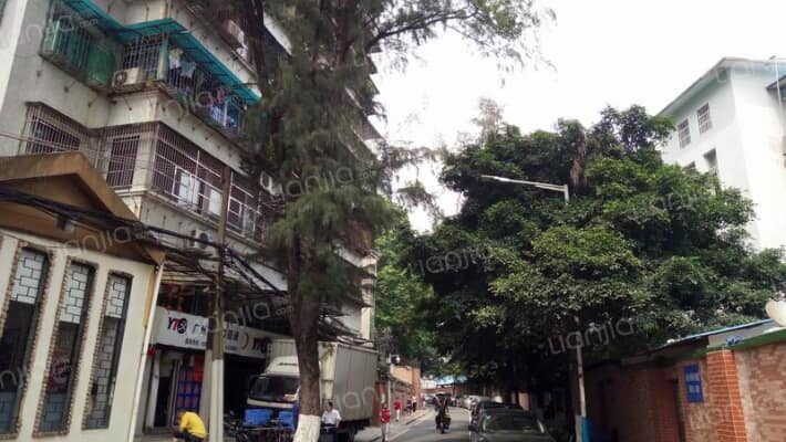 竹丝岗二马路外景图