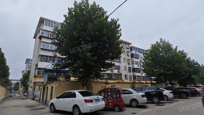 石药第四生活区外景图