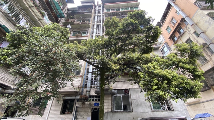 江安西四街8号外景图