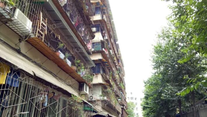 棕南西街5号外景图