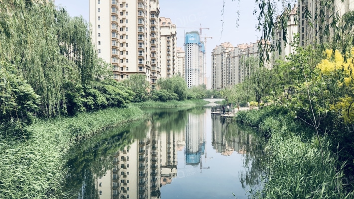 香江健康小镇棕榈园外景图