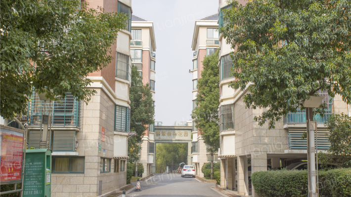 翡翠森林花园外景图