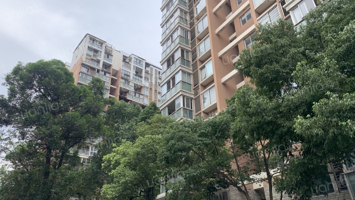 爱丁郡院外景图