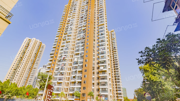 青扬新桥花园外景图