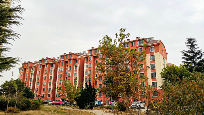 红岛嘉苑北区外景图