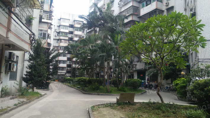 新景花苑外景图