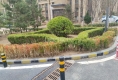 朗润园33