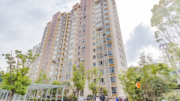 苹果国际外景图