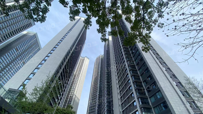 保利天悦外景图