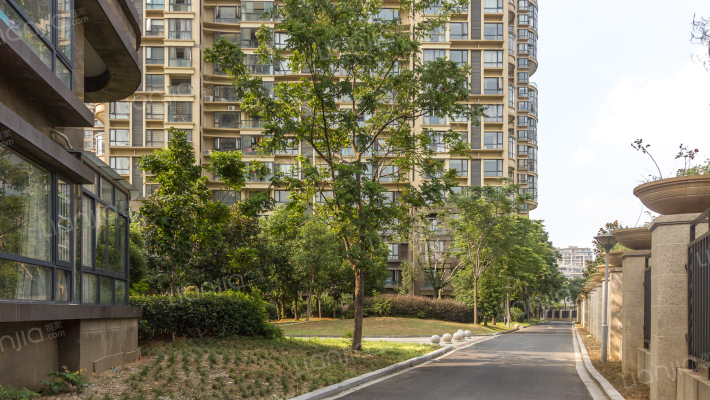 金色水岸外景图