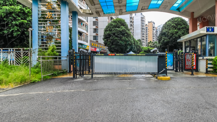 金龙理想1号外景图