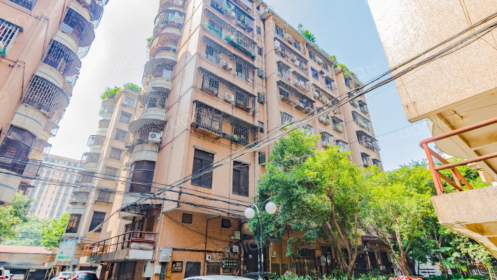 城区政府住宅外景图