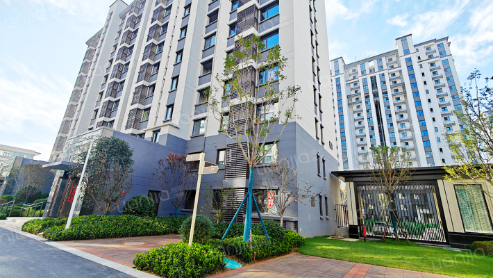 东海泮河龙韵南区外景图