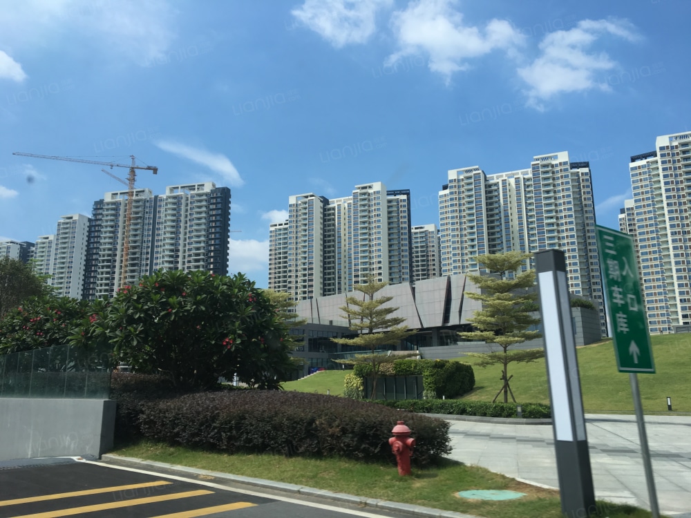 自由人花园相册