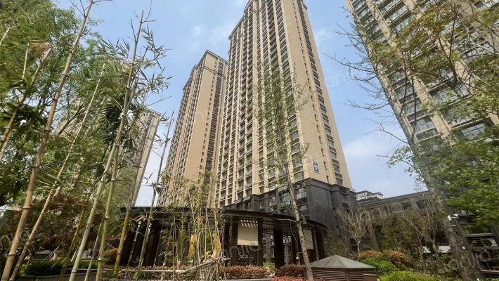 开元盛世·信园二期外景图