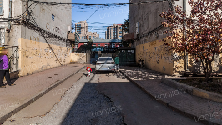 桦树小区B区外景图