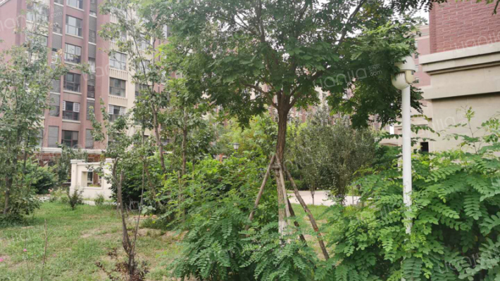 时代滨江外景图