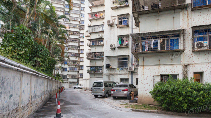 粮油宿舍外景图